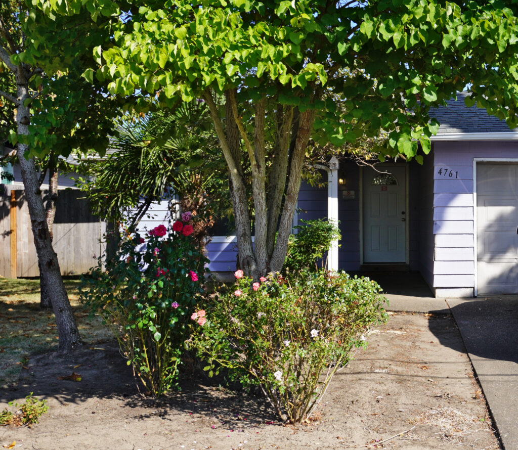 Hemlock House